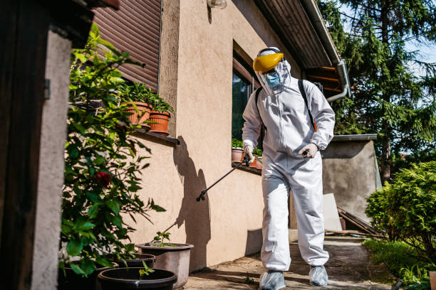 Best Wildlife Control Services  in Dimmitt, TX