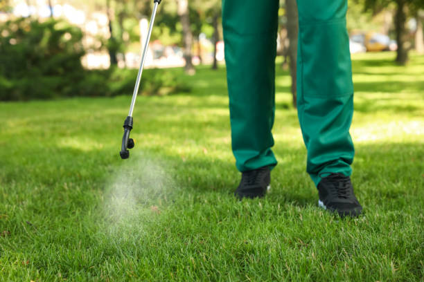 Best Best Pest Control Companies  in Dimmitt, TX