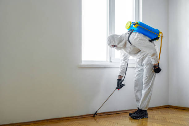 Best Pest Inspection Near Me  in Dimmitt, TX