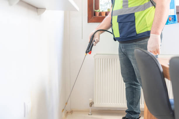 Best Termite Control Services  in Dimmitt, TX