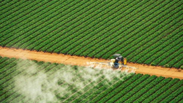 Best Commercial Pest Control Services  in Dimmitt, TX