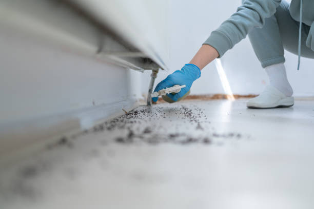 Pest Control Cost in Dimmitt, TX