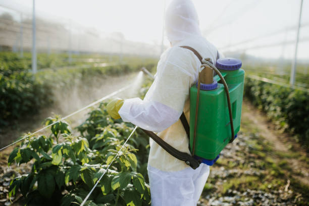 Best Pest Prevention Services  in Dimmitt, TX